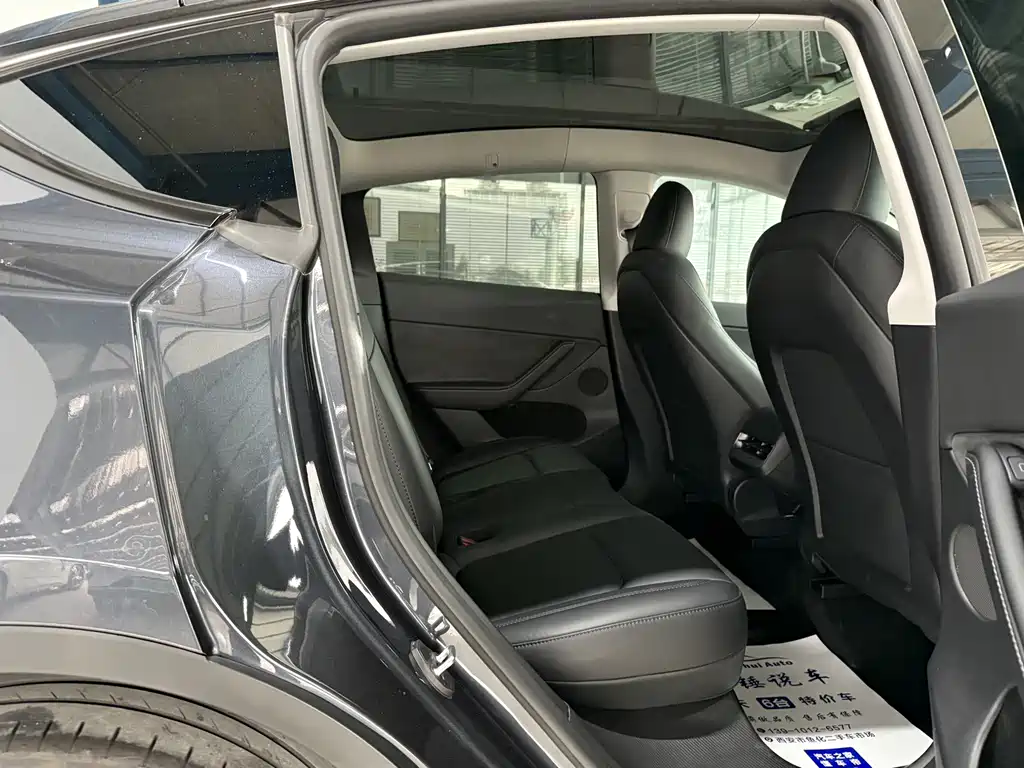 Tesla Model Y — миниатюра 10