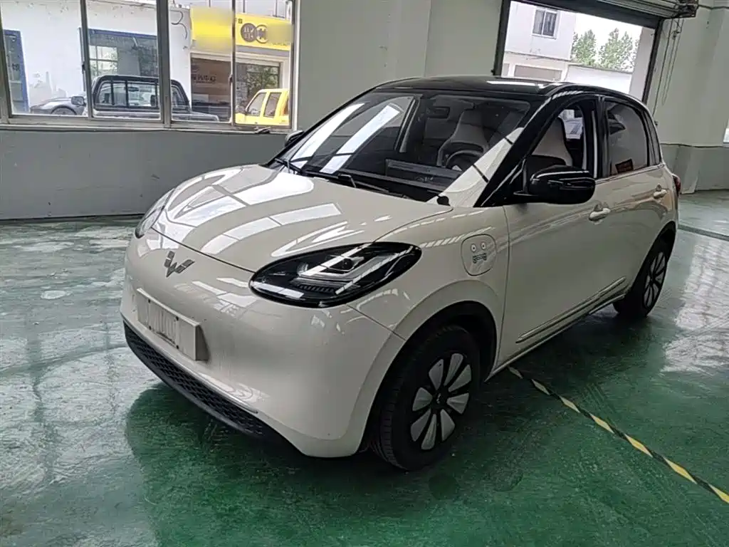 Wuling Bingo 2024