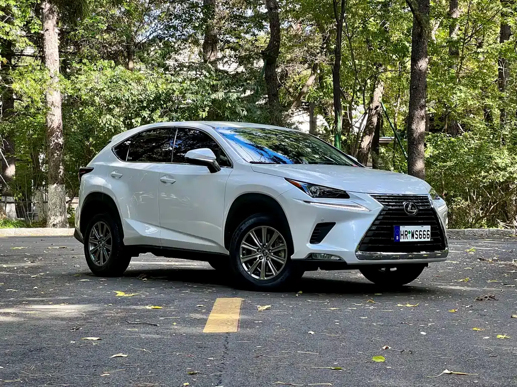 Lexus NX — миниатюра 6