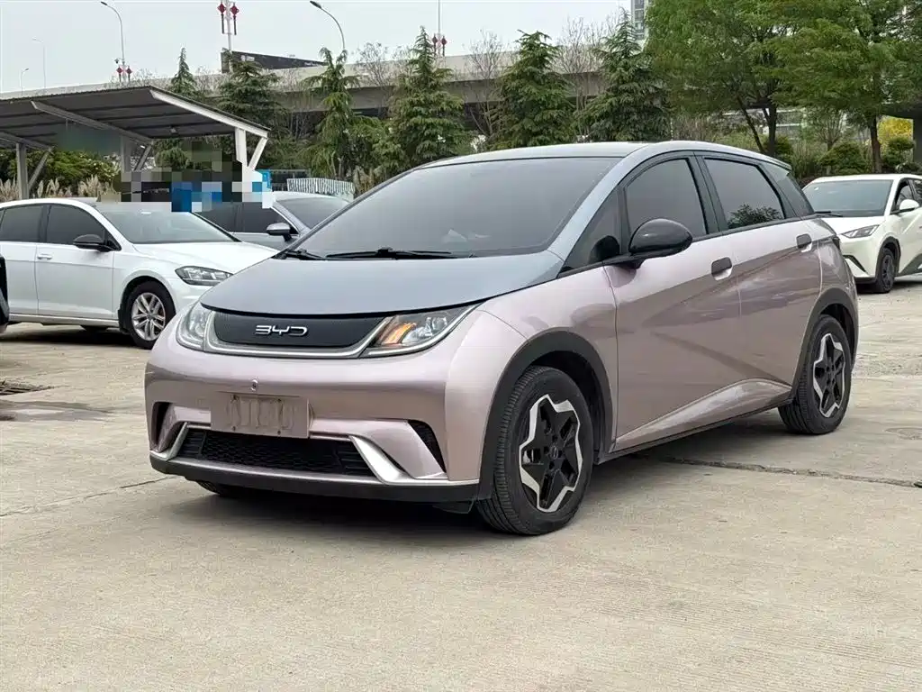 Byd Dolphin 2022