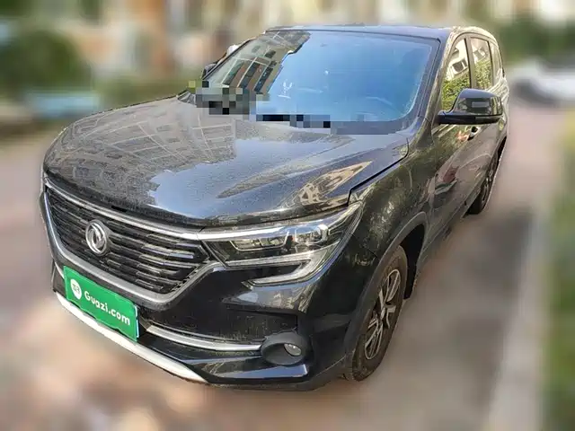 DONGFENG POPULAR T5