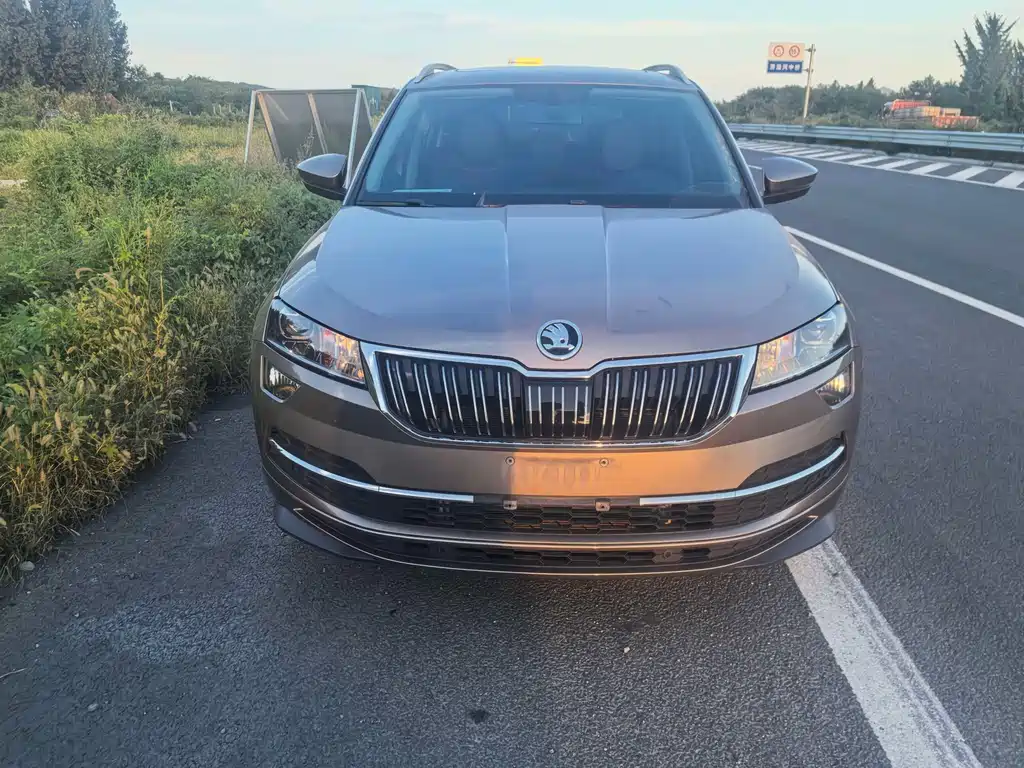 Skoda Karoq — миниатюра 2