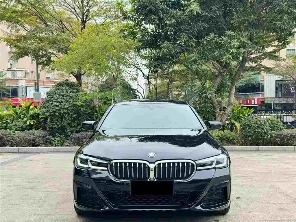 BMW 5 Series — миниатюра 2