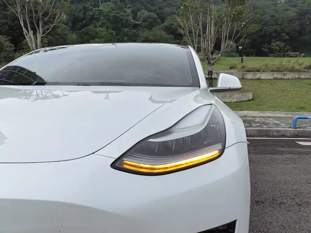 Tesla Model 3 — миниатюра 4