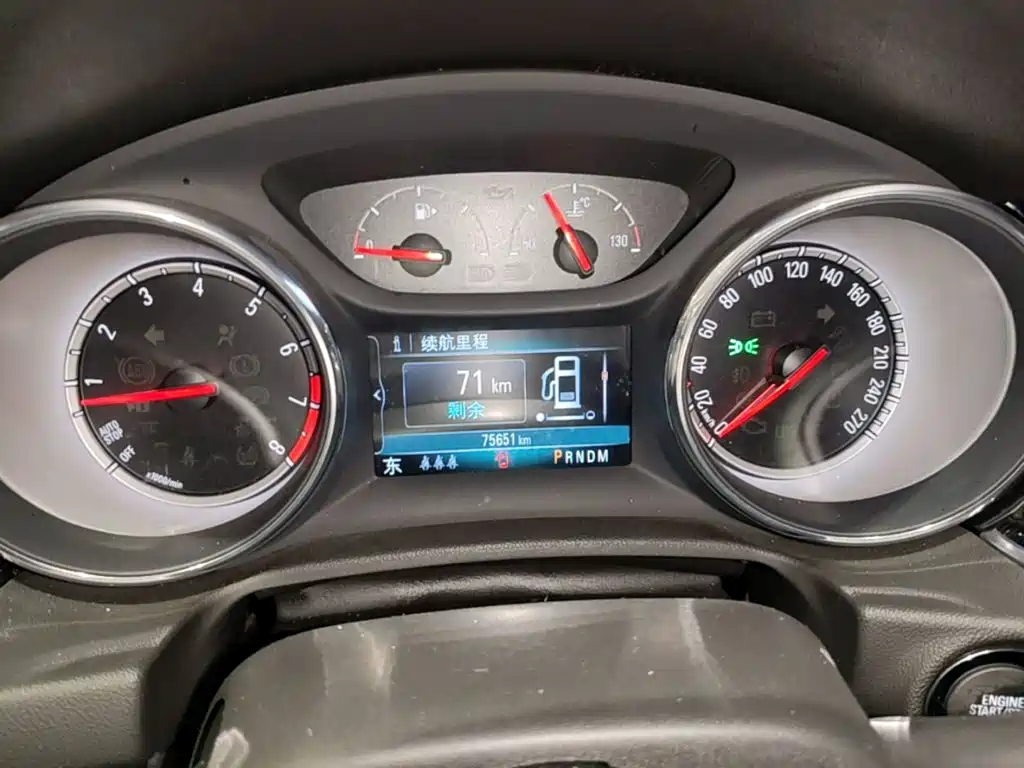 Buick Regal — миниатюра 12