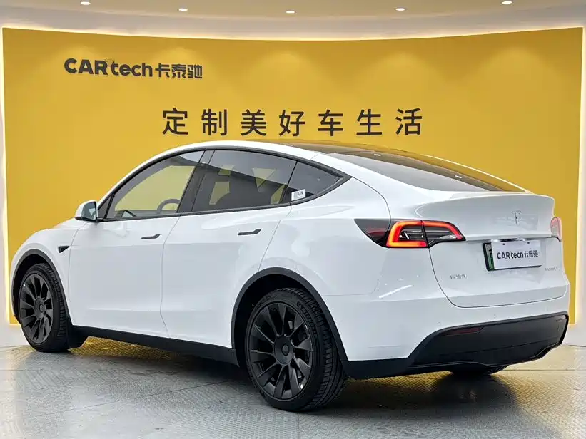 Tesla Model Y — миниатюра 5