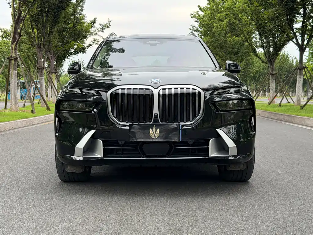 BMW X7 — миниатюра 2