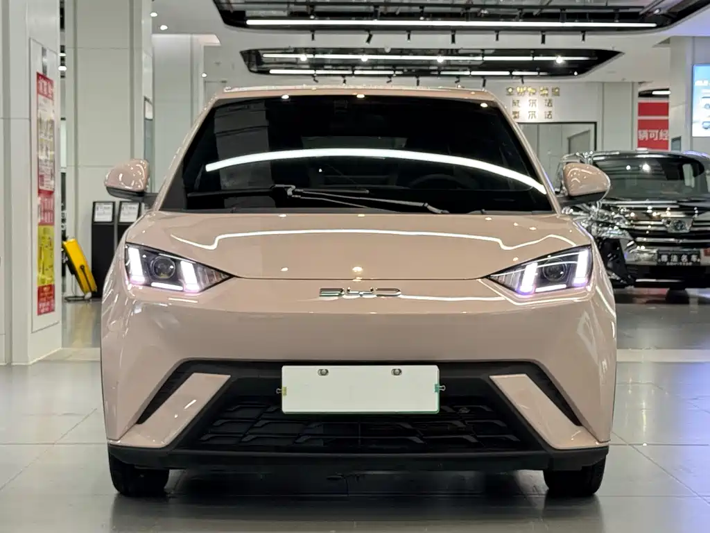 BYD Seagull