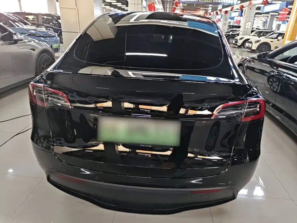 Tesla Model Y — миниатюра 6