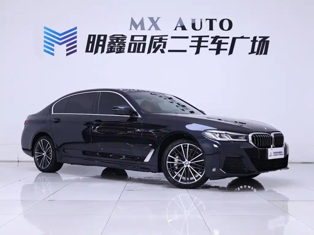 BMW 5 Series — миниатюра 5