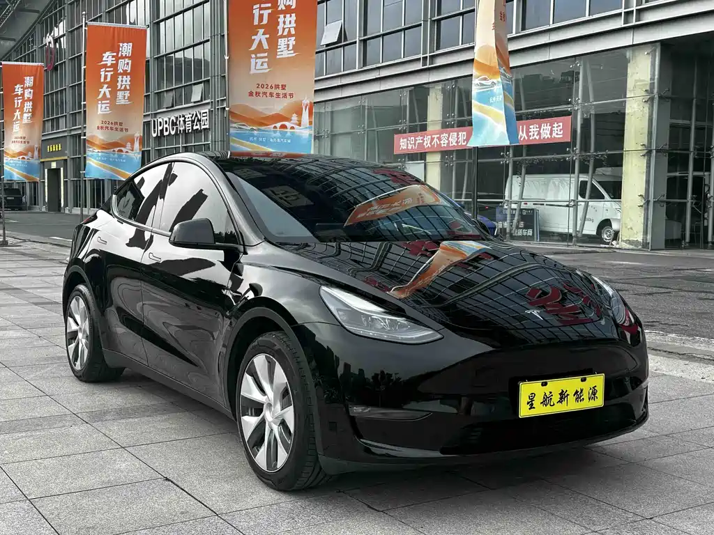 Tesla Model Y — миниатюра 4