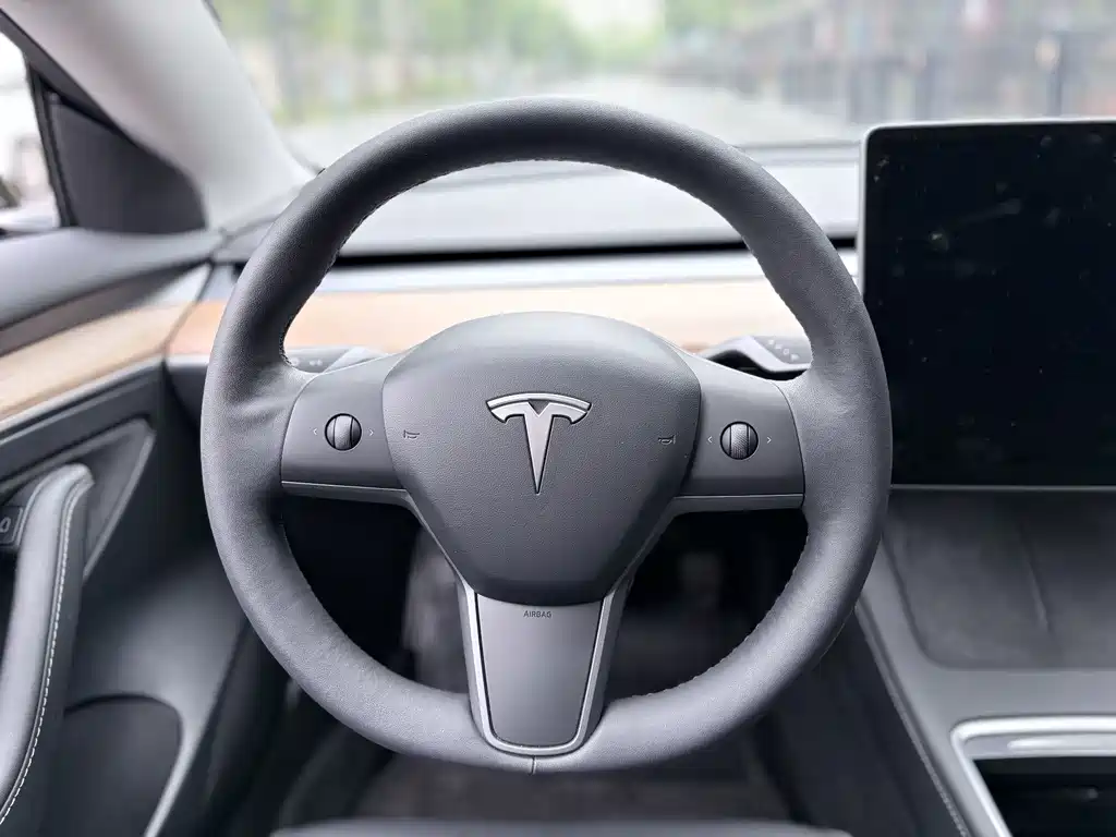 Tesla Model 3 — миниатюра 15