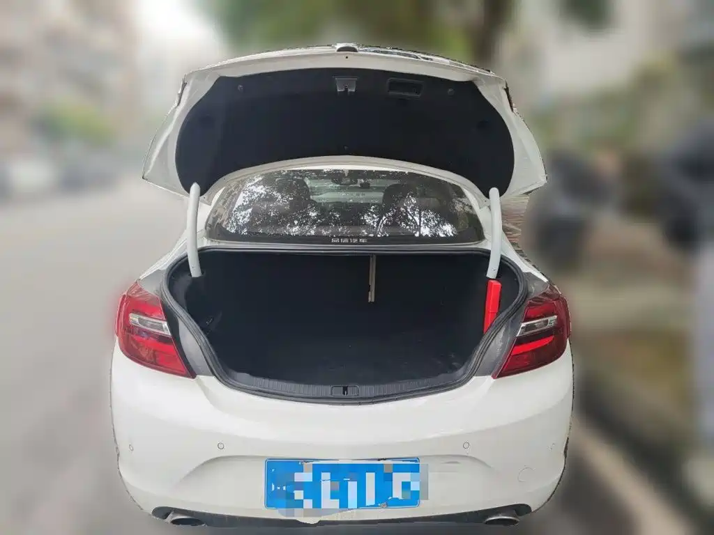 Buick Regal — миниатюра 15