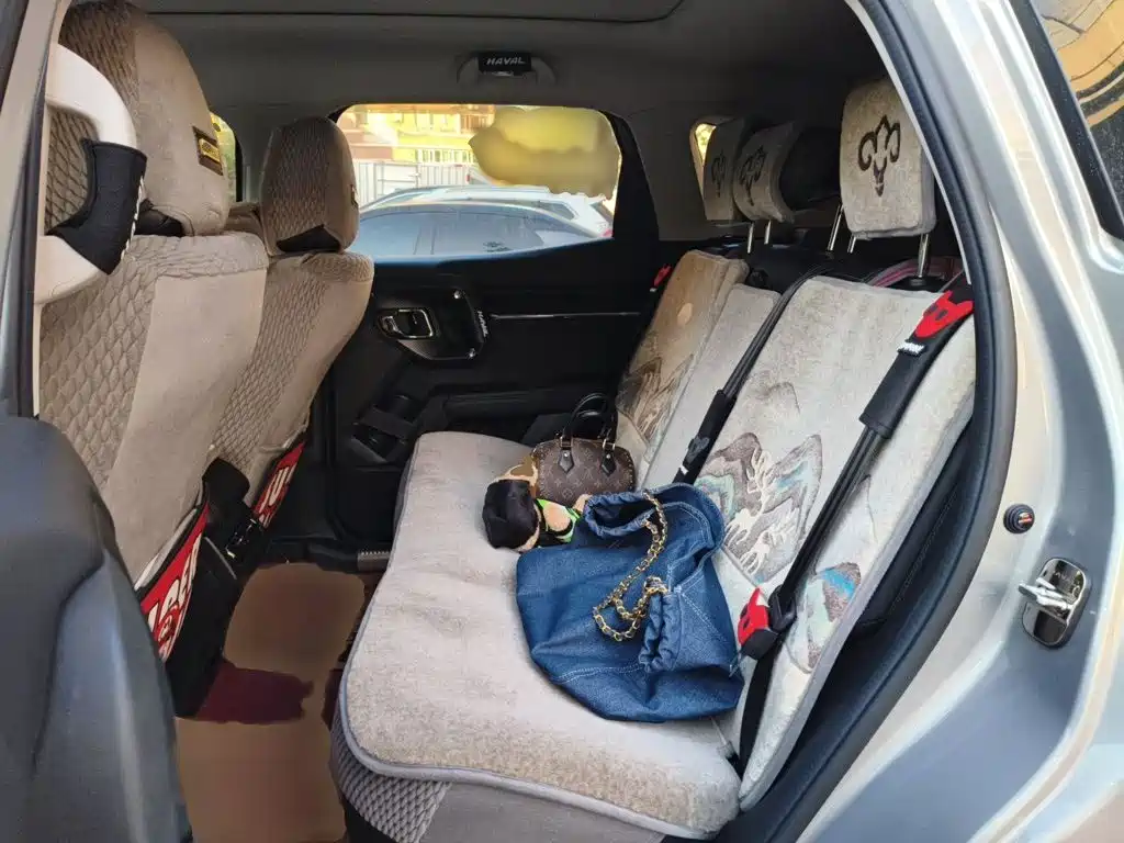 Haval Big Dog PLUS — миниатюра 15