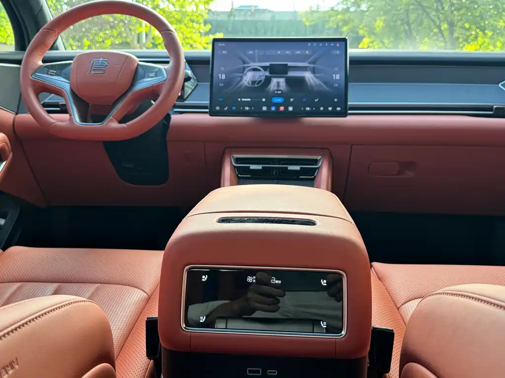 BYD Дон Л. — миниатюра 11