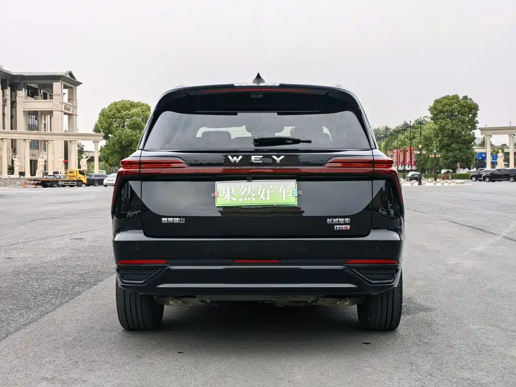 Wey Wey Lanshan — миниатюра 6