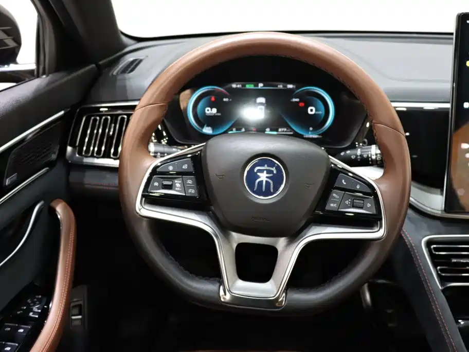 BYD PLUS — миниатюра 13