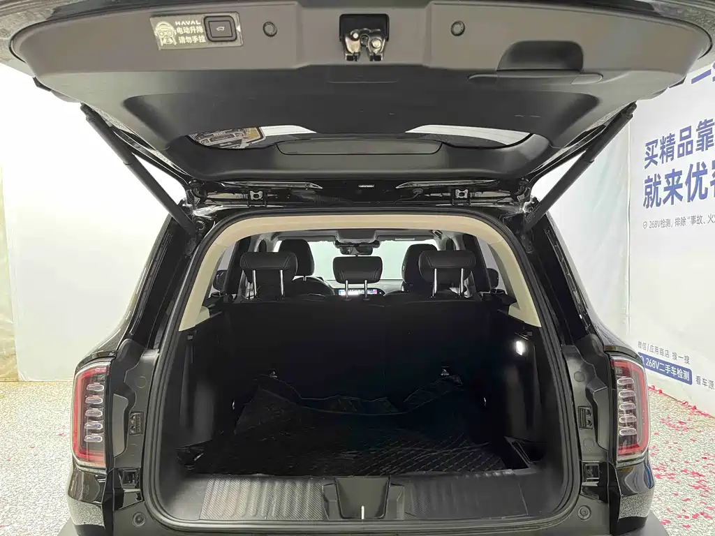Haval 长城大狗 — миниатюра 14