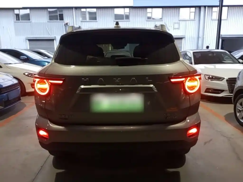 Haval Плюс новая энергия. — миниатюра 6