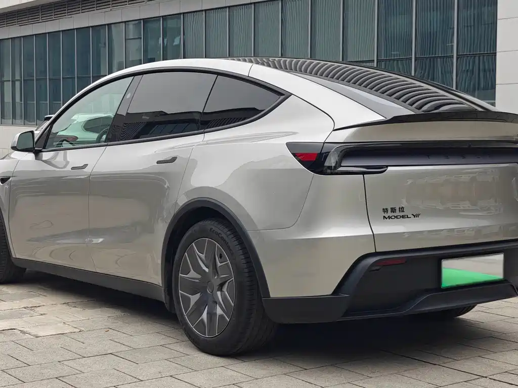 Tesla Model Y — миниатюра 10