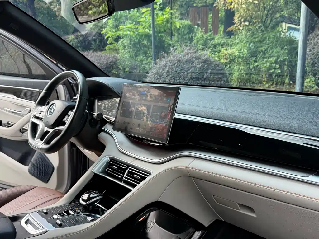 BYD PLUS New Energy — миниатюра 7