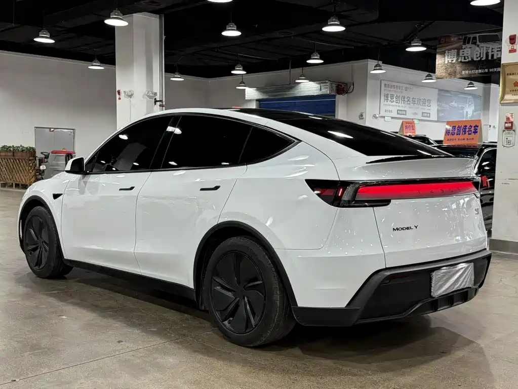 Tesla Model Y — миниатюра 7