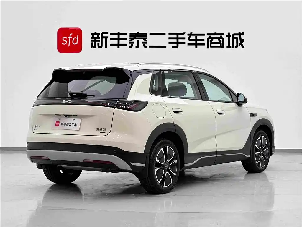 BYD Sealion 05 DM-i — миниатюра 5