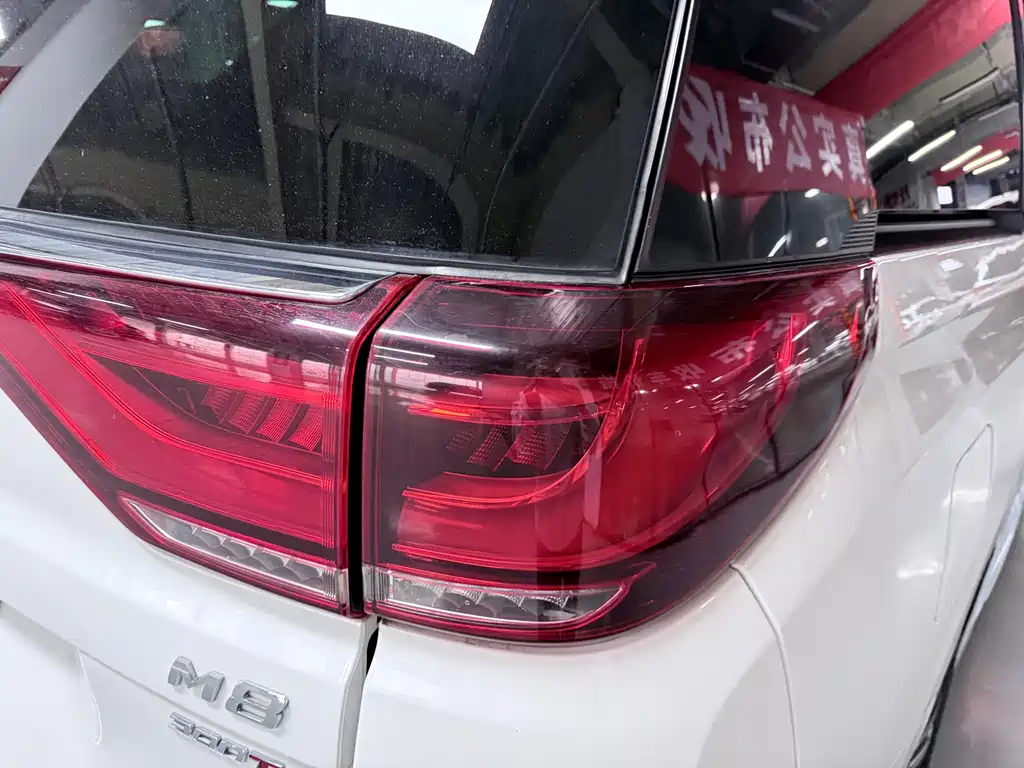 GAC Motor Trumpchi M8 — миниатюра 20