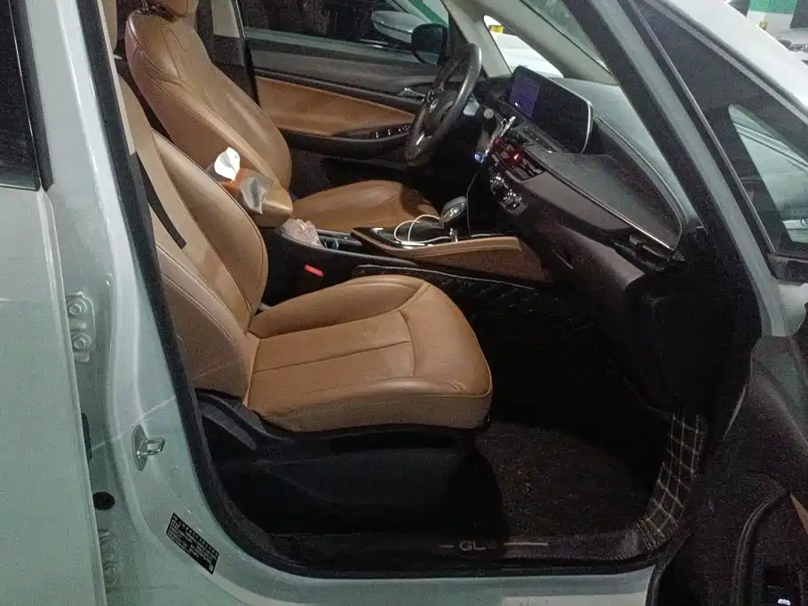 Buick GL6 — миниатюра 8