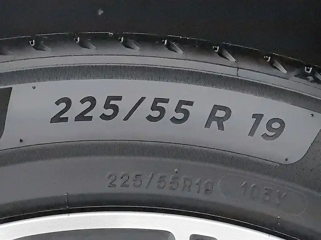 Neta Neta L — миниатюра 24