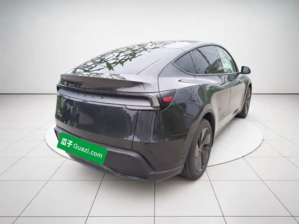Tesla Model Y — миниатюра 4