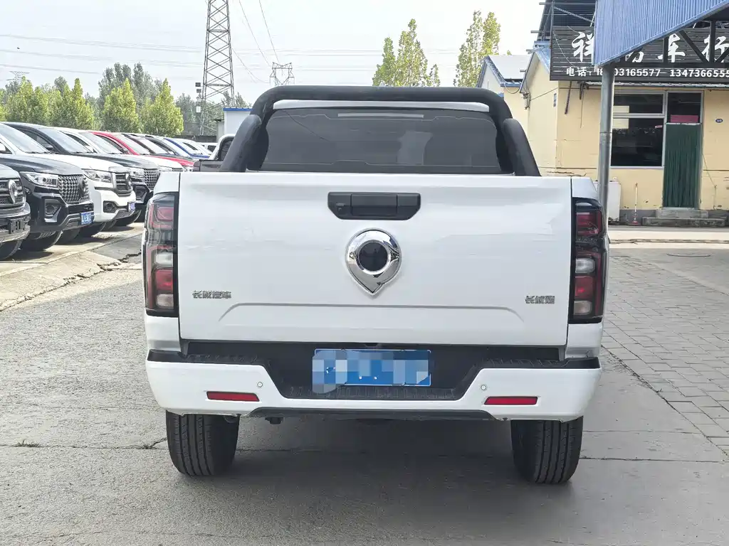 Great Wall Pao — миниатюра 3