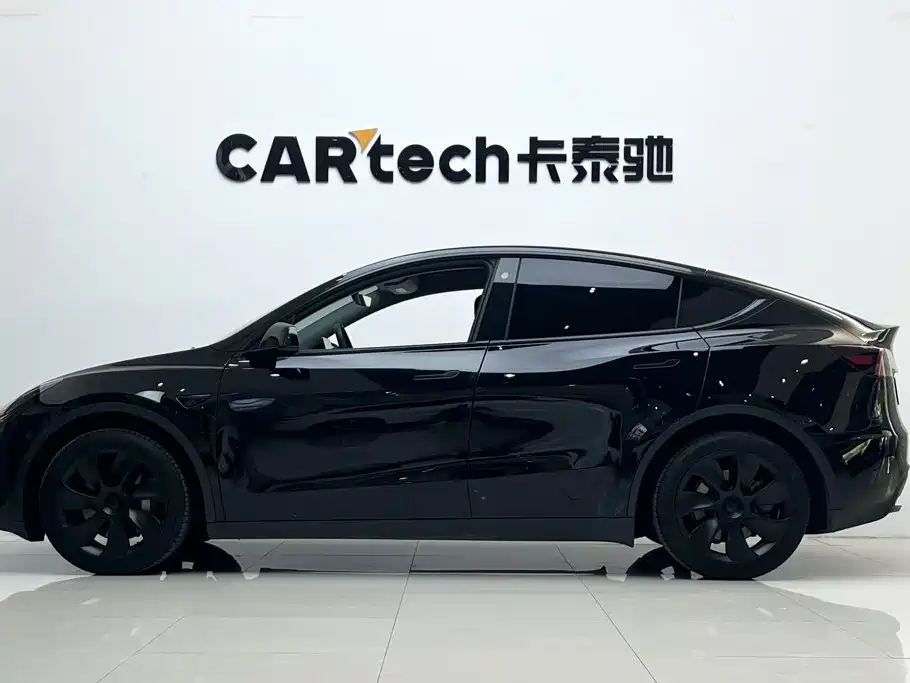 Tesla Model Y — миниатюра 5