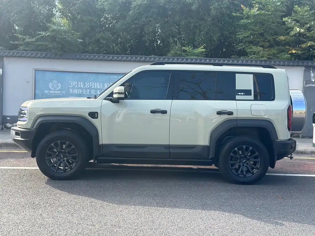 FANG CHENG BAO LEOPARD 5