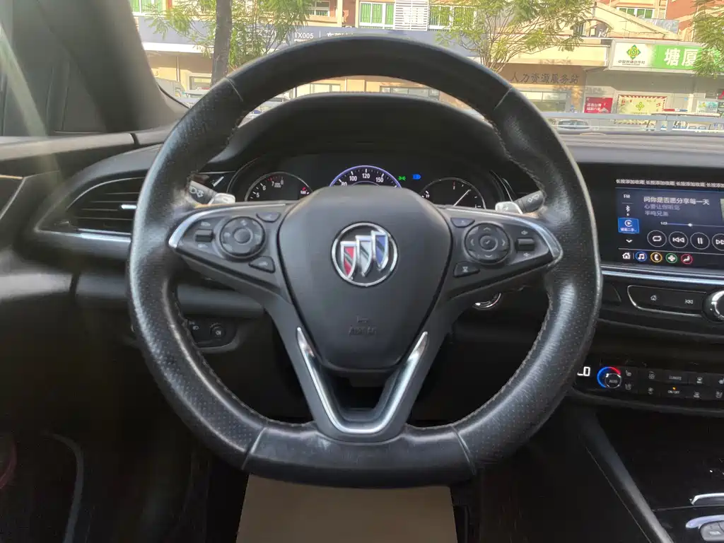 Buick Regal — миниатюра 14