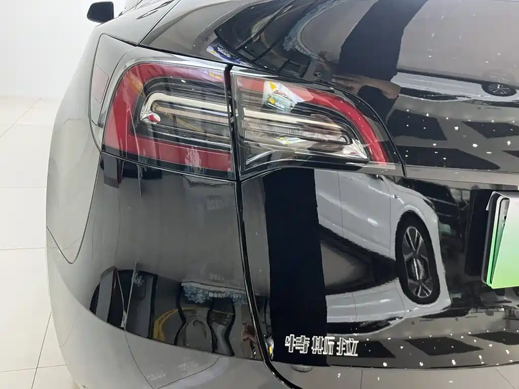 Tesla Model Y — миниатюра 7
