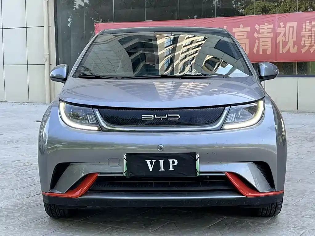 BYD Dolphin 2021 405km Fashion