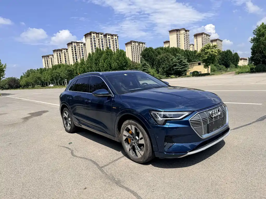 Audi e-tron (Import) — миниатюра 3