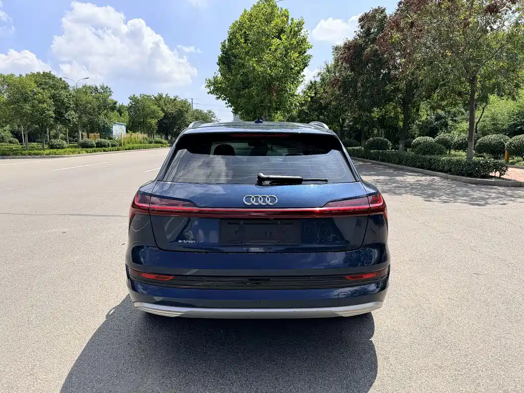 Audi e-tron (Import) — миниатюра 5