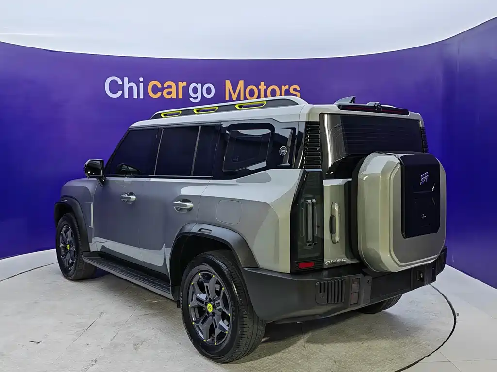 Shanhai Traveller C-DM — миниатюра 4