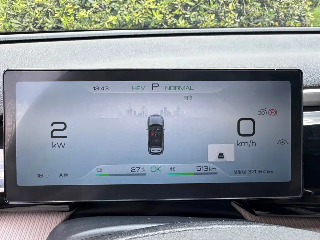 BYD Pro New Energy — миниатюра 12