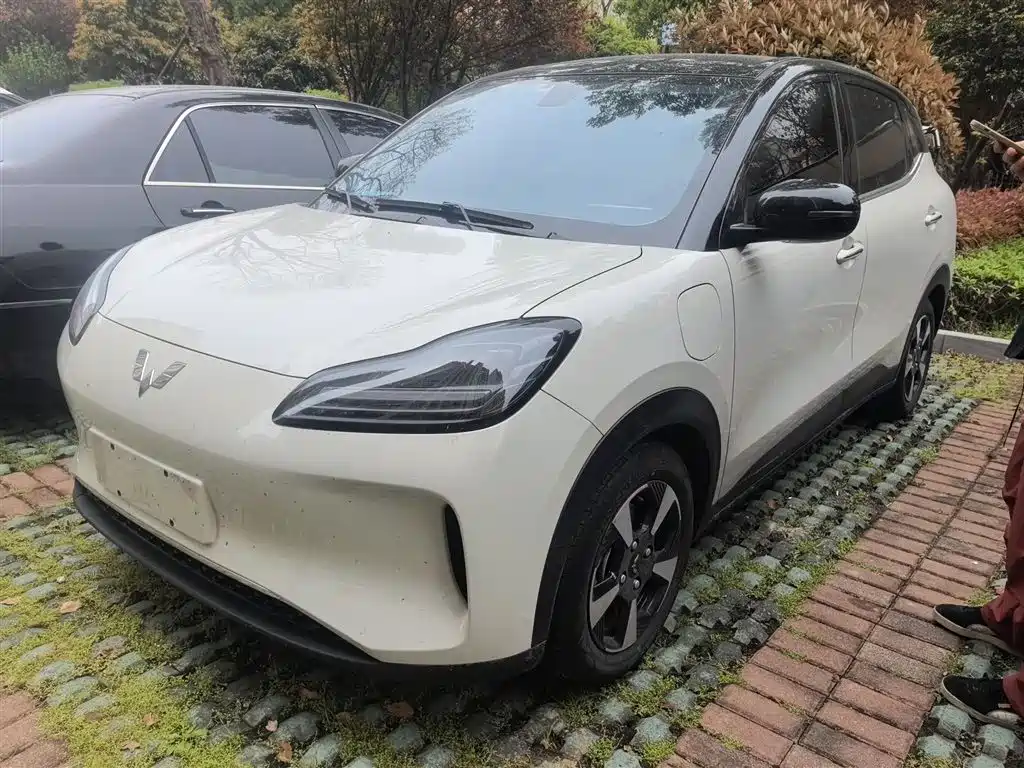 Wuling Bingo PLUS 2024