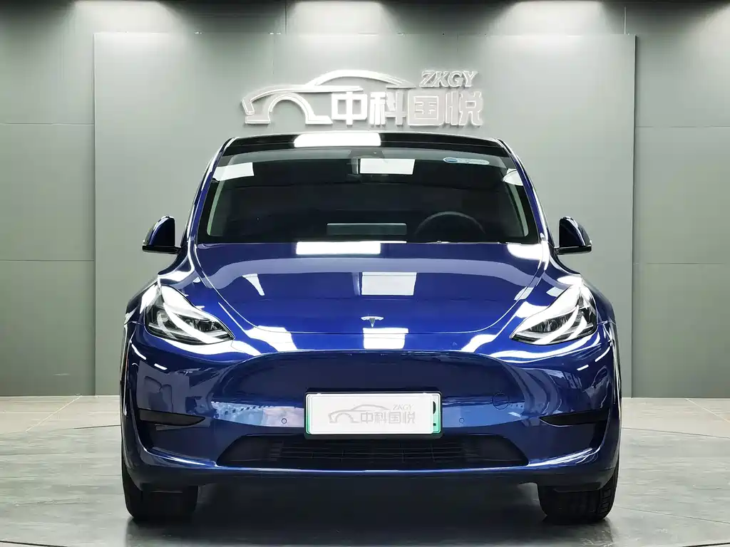 Tesla Model Y — миниатюра 4