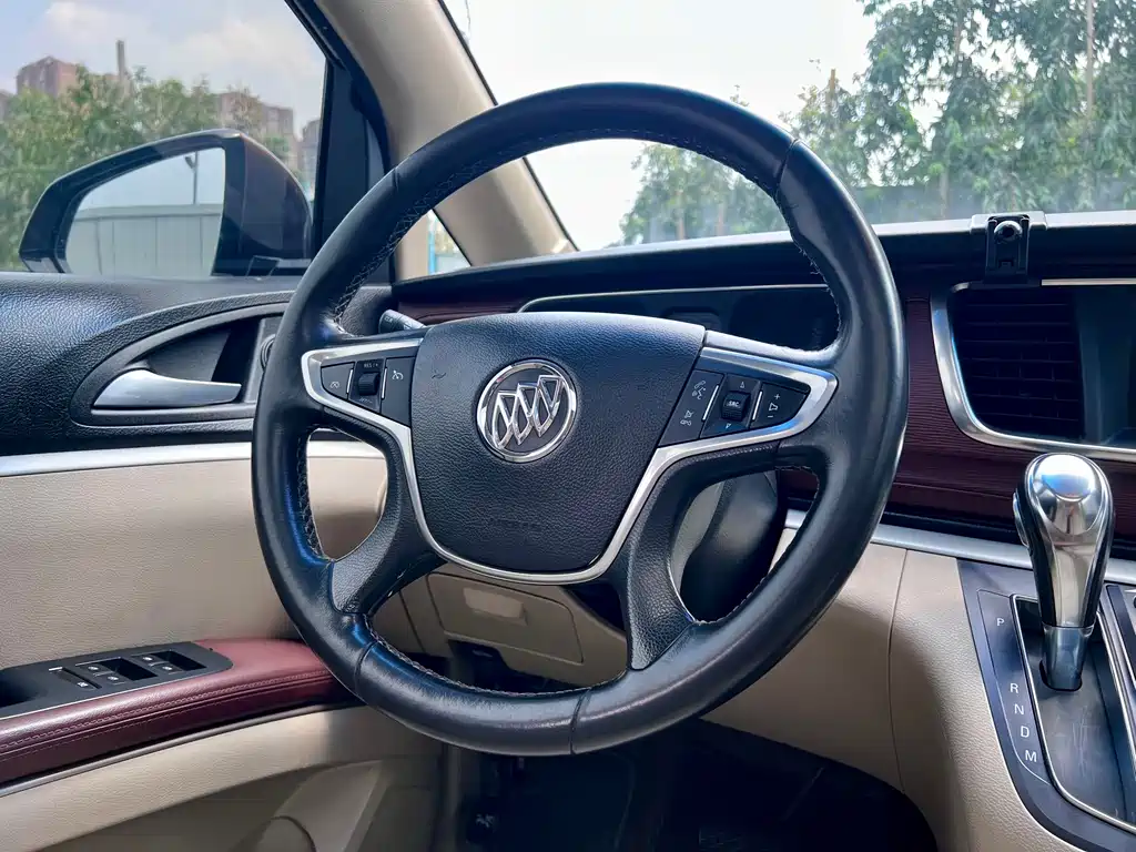 Buick GL8 — миниатюра 13