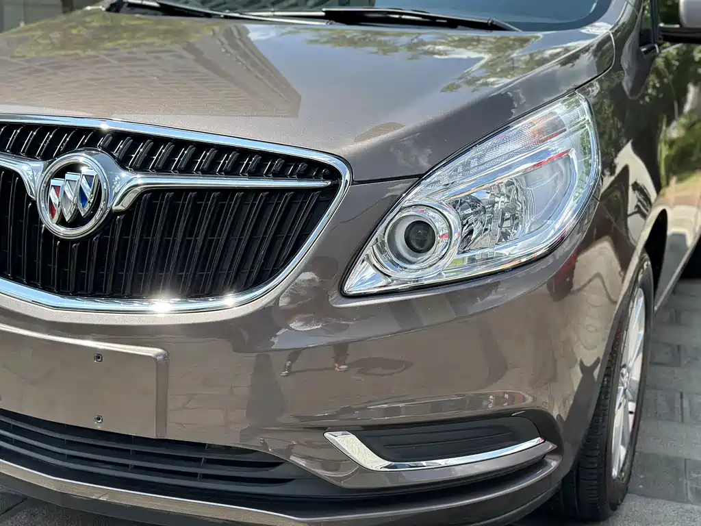 Buick GL8 — миниатюра 11