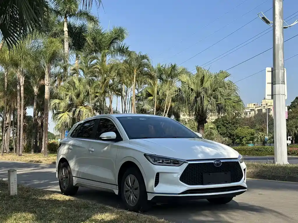BYD E2