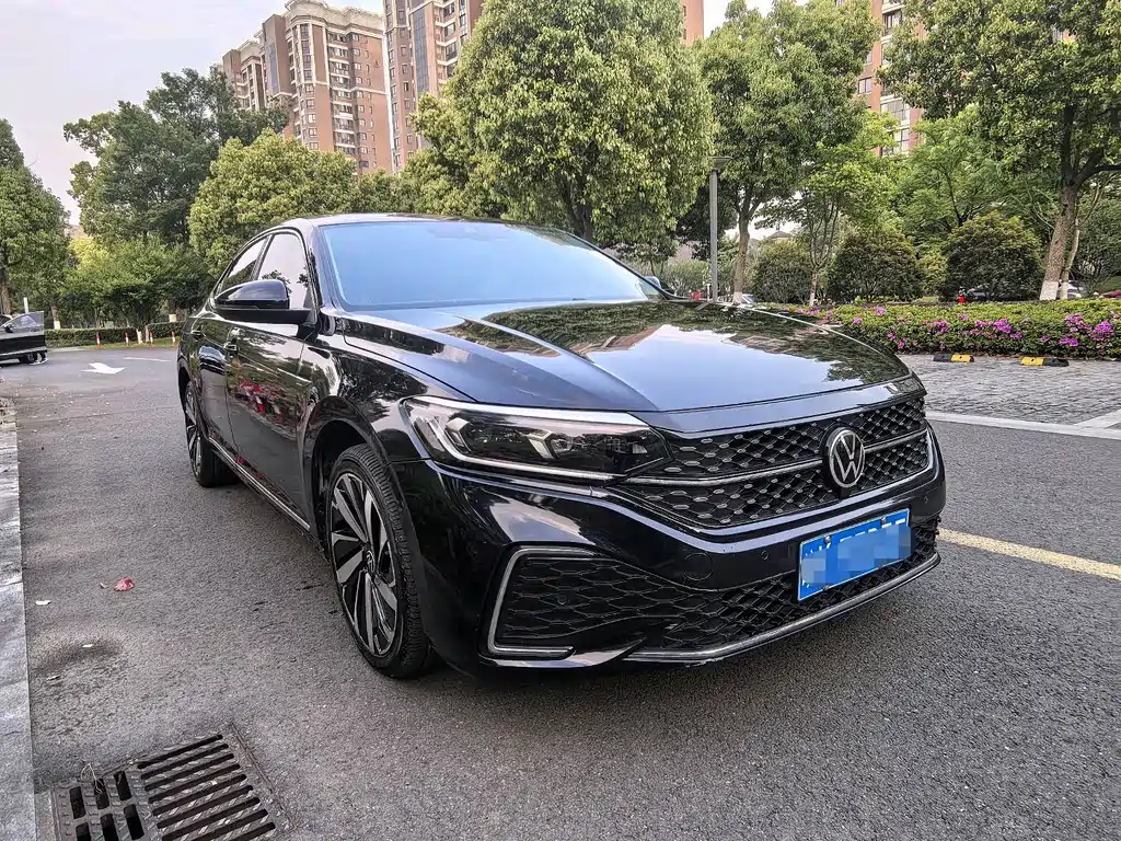 Volkswagen Passat — миниатюра 3