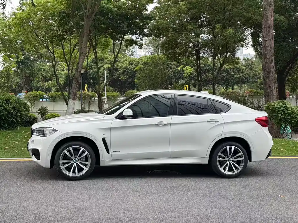 BMW X6 2019 xDrive35i M Sport