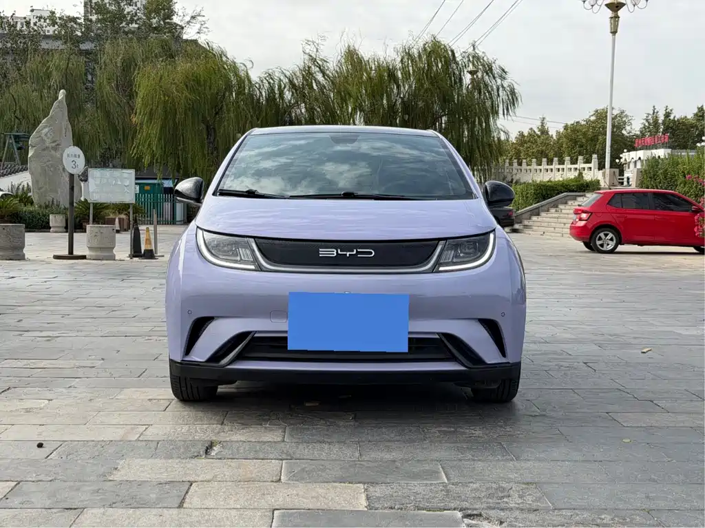 BYD Dolphin — миниатюра 2
