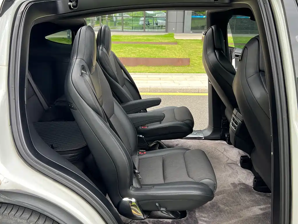 Tesla Model X — миниатюра 13